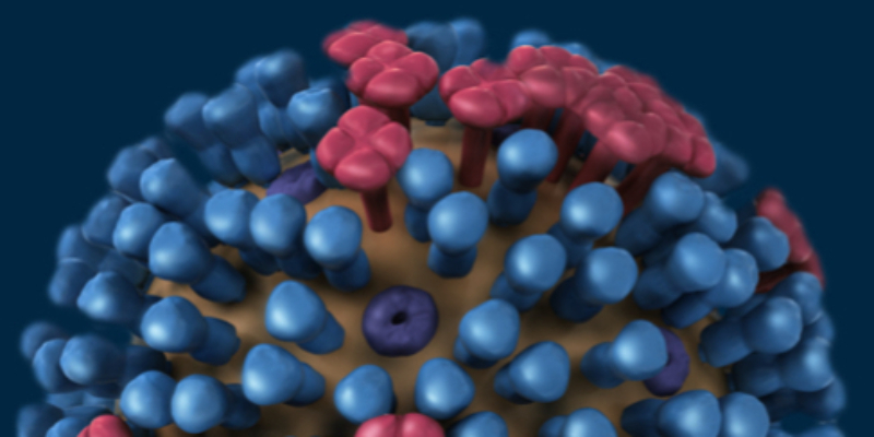 Influenza: cardiovascular complications & vaccination