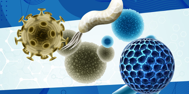 ME’NA-ISN webinar on influenza and multimorbidity